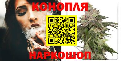 прущие крисы Нальчик