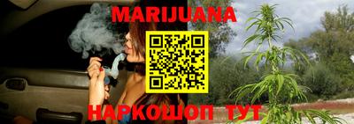 прущие крисы Нальчик
